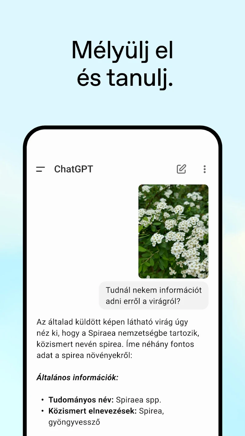 ChatGPT