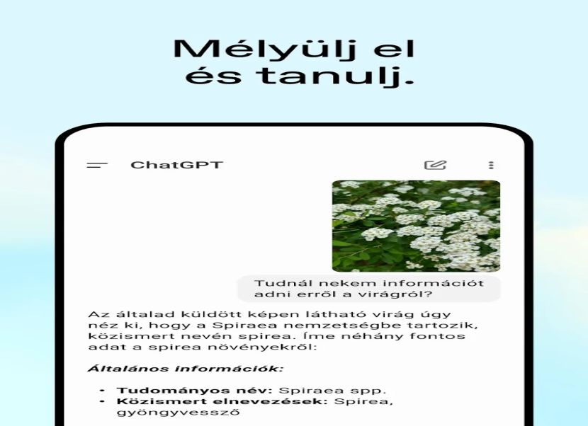 ChatGPT