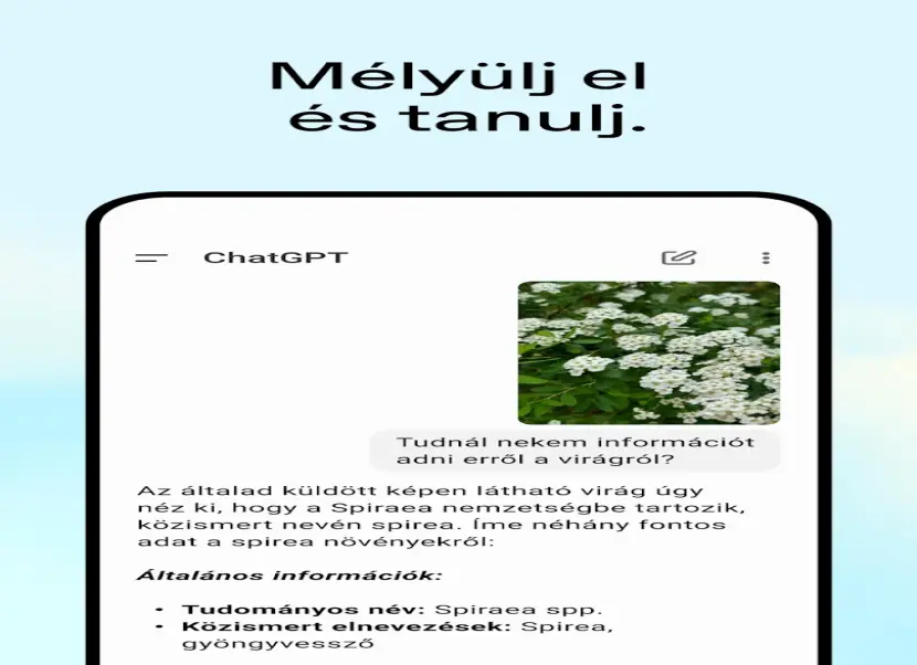 ChatGPT