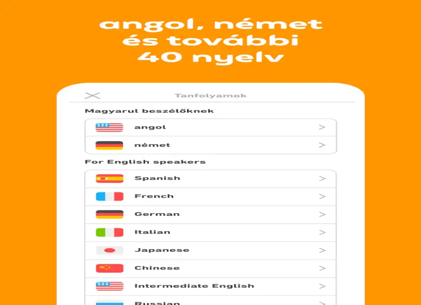 Doulingo nyelvleckék