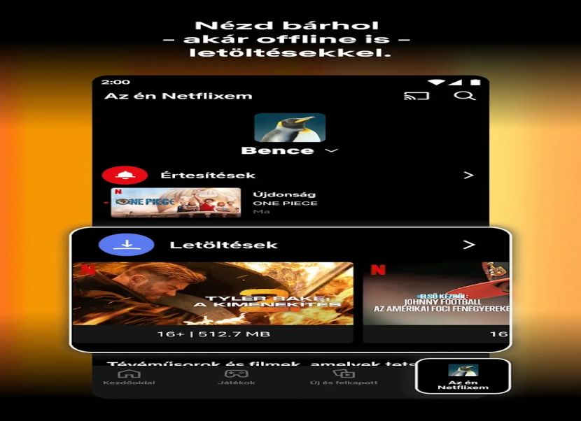 Netflix mobilra