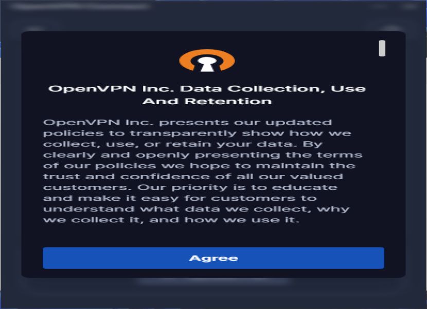 OpenVPN use