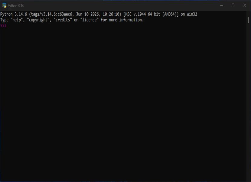 Python console