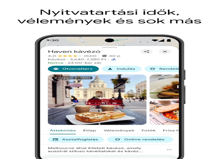 Google Maps app 3
