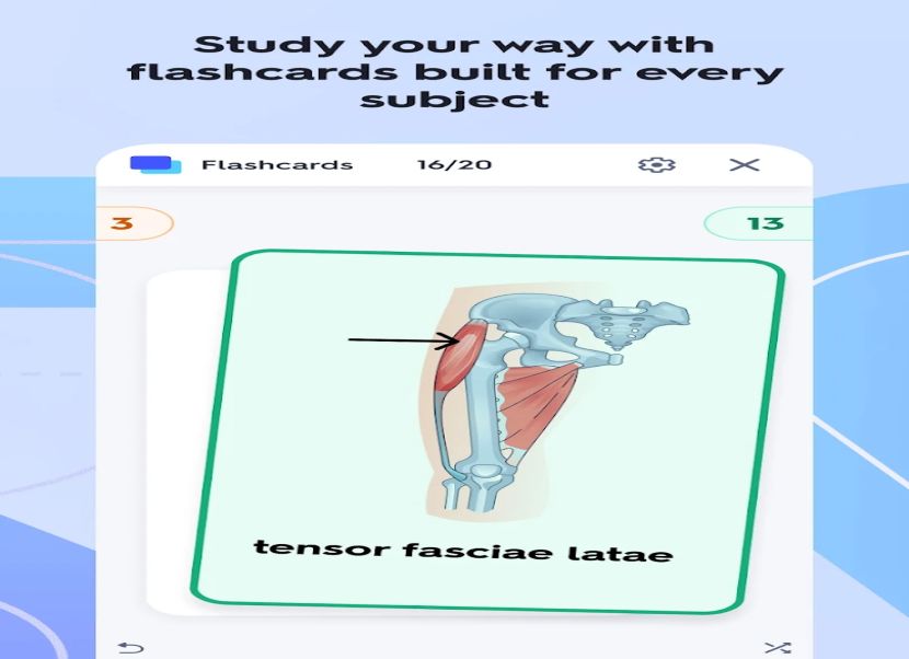 Quizlet 2