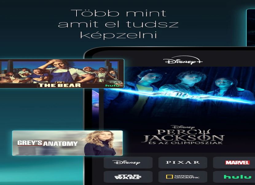 Disney+ 1