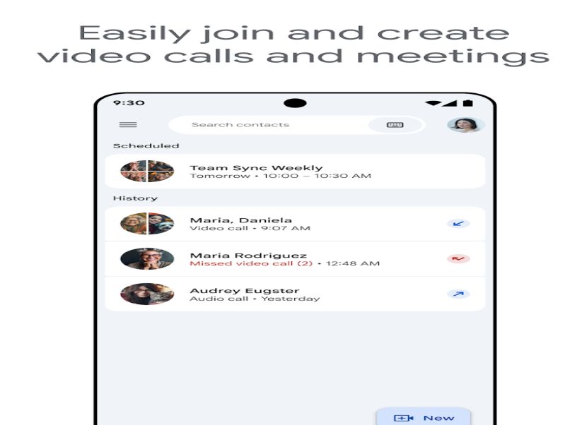 Google Meet 1