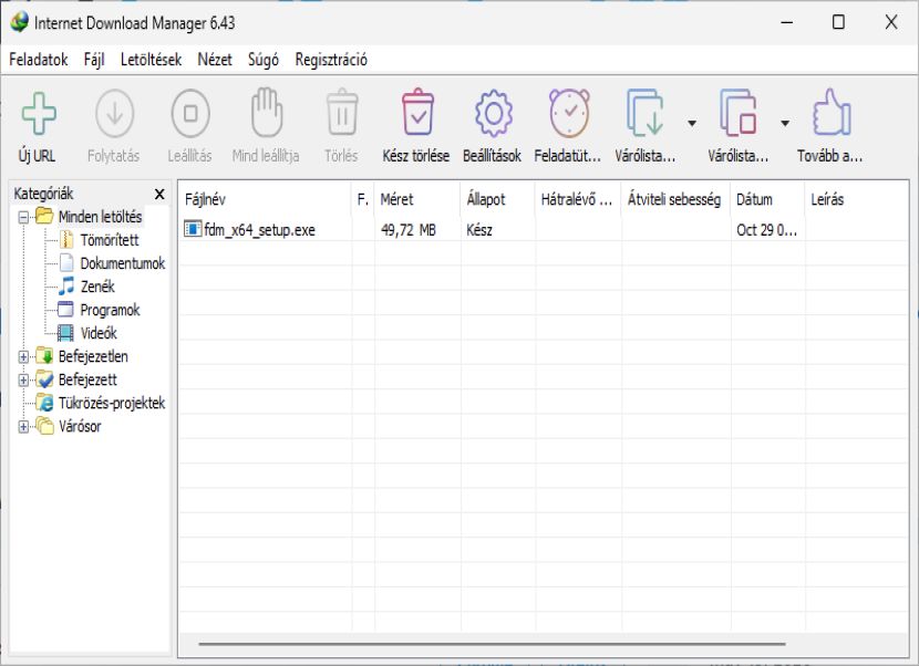 Internet Download Manager