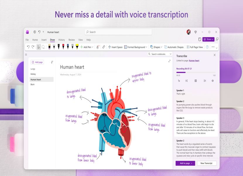 Microsoft OneNote 4